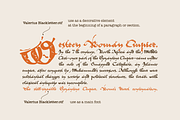 Valerius Elegant Blackletter Script, a Blackletter Font by kaer_shop (Thumbnail 5 of 13)