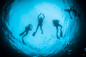 Divers in the blue featuring divers, underwater, and snell window