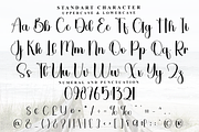 Wedding Vacation, a Handwritten Font by FreshTypeINK (Thumbnail 3 of 8)