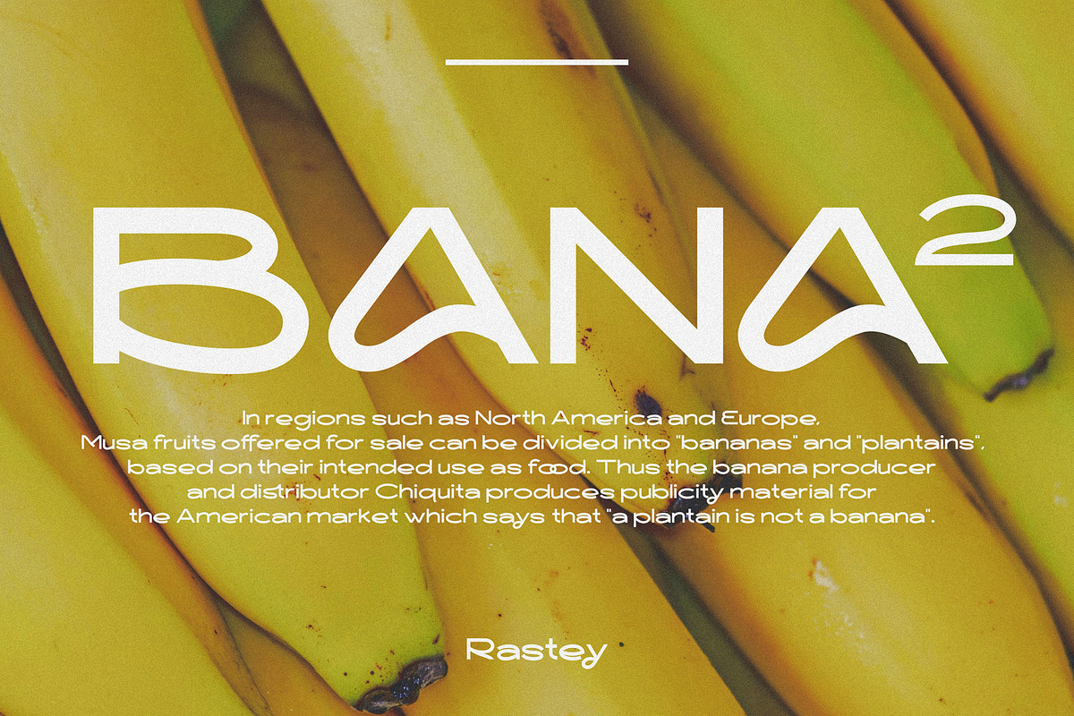 Rastey | Clean Modern Playful Sans, a Sans Serif Font by 160 Studio (Photo 4 of 11)
