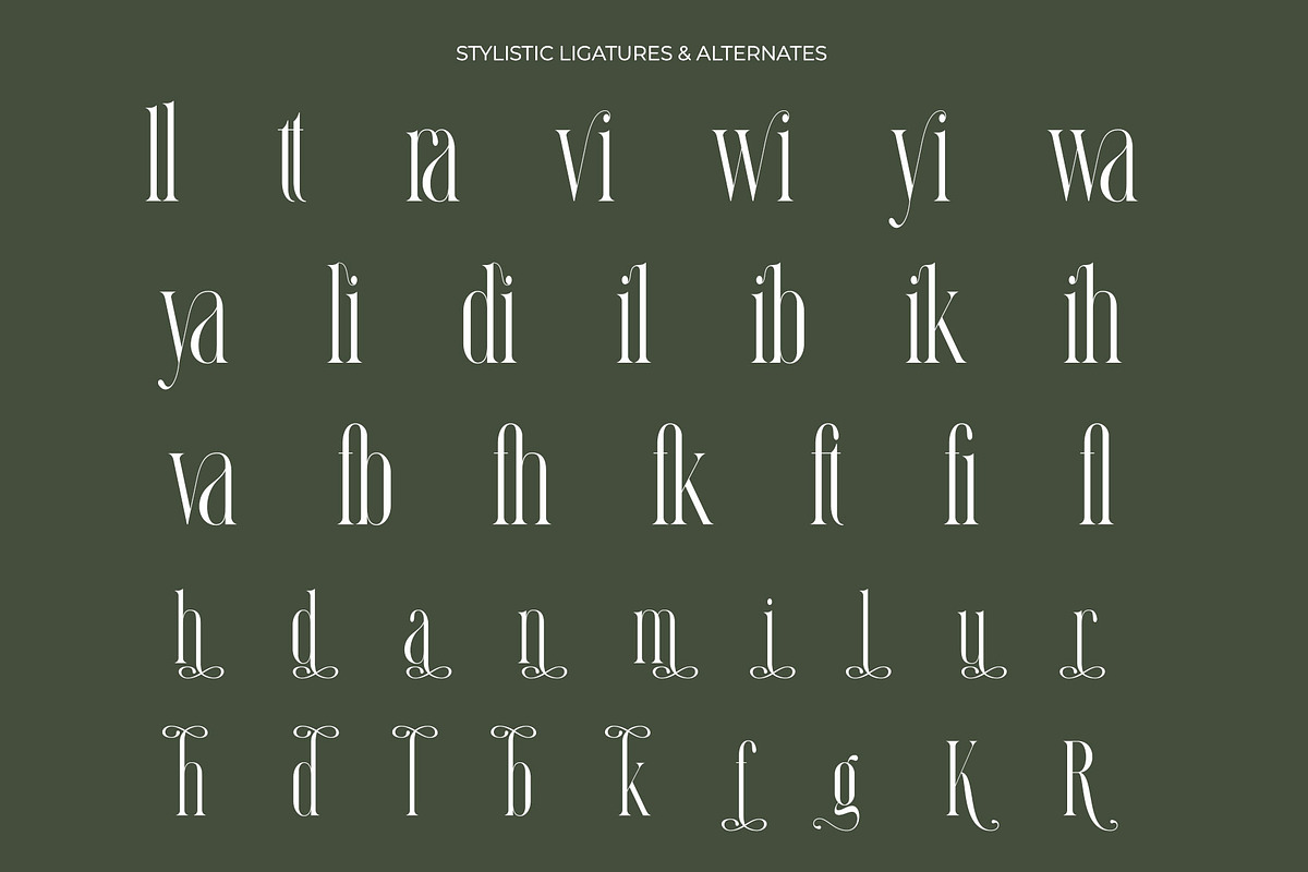 Ranbila Elegant Ligature Serif, a Serif Font by Alfinart (Photo 8 of 10)