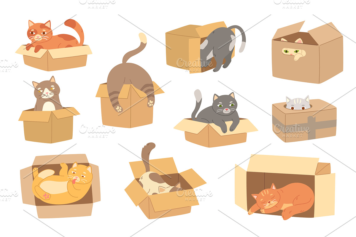 Cartoon cats in cardboard box, a Graphic by winwin.art