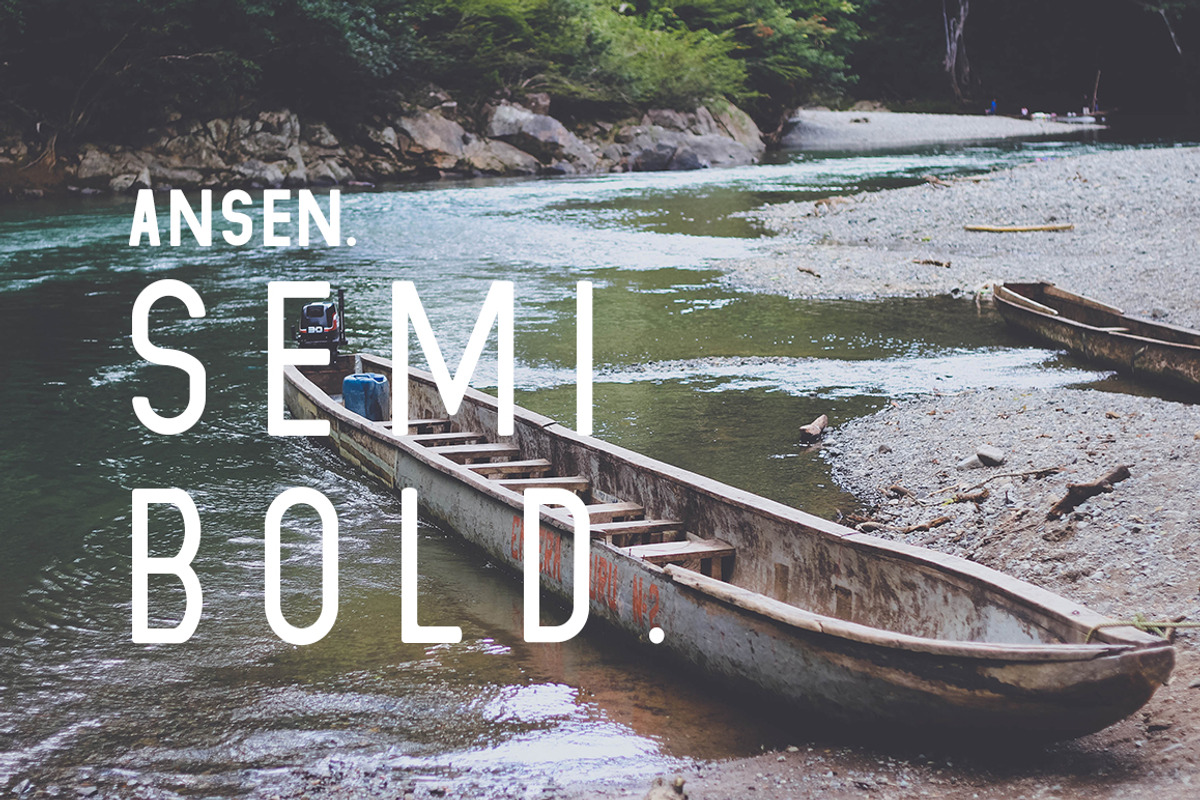 Ansen | An Adventurous Family, a Sans Serif Font by Zone 6 (Photo 8 of 13)