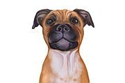 100 Dog Breeds Popular in UK, an Illustration by Dneprstock (Thumbnail 3 of 4)