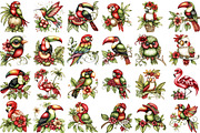 Whimsical Summer Tropical Birds Clip, an Illustration by designcity5 (Thumbnail 2 of 5)