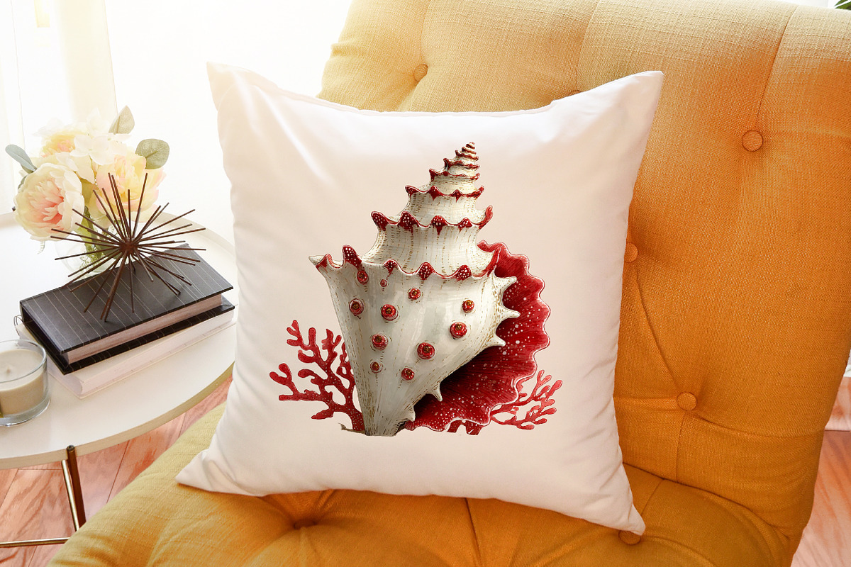 Watercolor Seashells Clipart, an Illustration by Sublimation Artist (Photo 6 of 6)