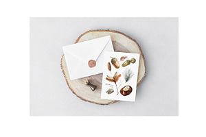 Acorns Watercolor Clipart. Forest.