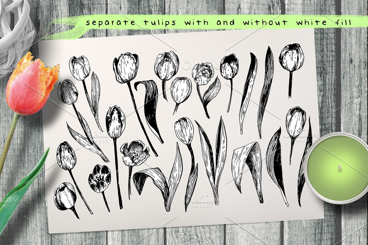 Tulips. Engraving bulb flowers, an Illustration by Alena Kaz (Photo 2 of 5)