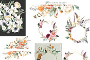 FLORISTA Huge Floral Collection, an Illustration by Cat In Colour (Thumbnail 6 of 14)