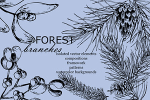 Forest branches
