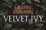 Velvet Ivy – Botanical Backgrounds |, a Background Graphic by Aga Silva (Thumbnail 1 of 9)