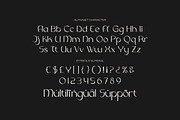 Hadrick Queen - Aesthetic Font, a Sans Serif Font by Fype Co. (Thumbnail 5 of 5)