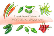 Hot Chili Peppers | 5 Cliparts, a Food Illustration by Miriam Figueras (Thumbnail 1 of 4)