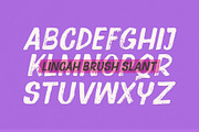 Lincah Brush, a Handwritten Font by Stripes Studio (Thumbnail 5 of 8)