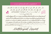 Pinkie Wonderly Handwritten Script, a Script Font by Letterena Studios Script (Thumbnail 19 of 20)