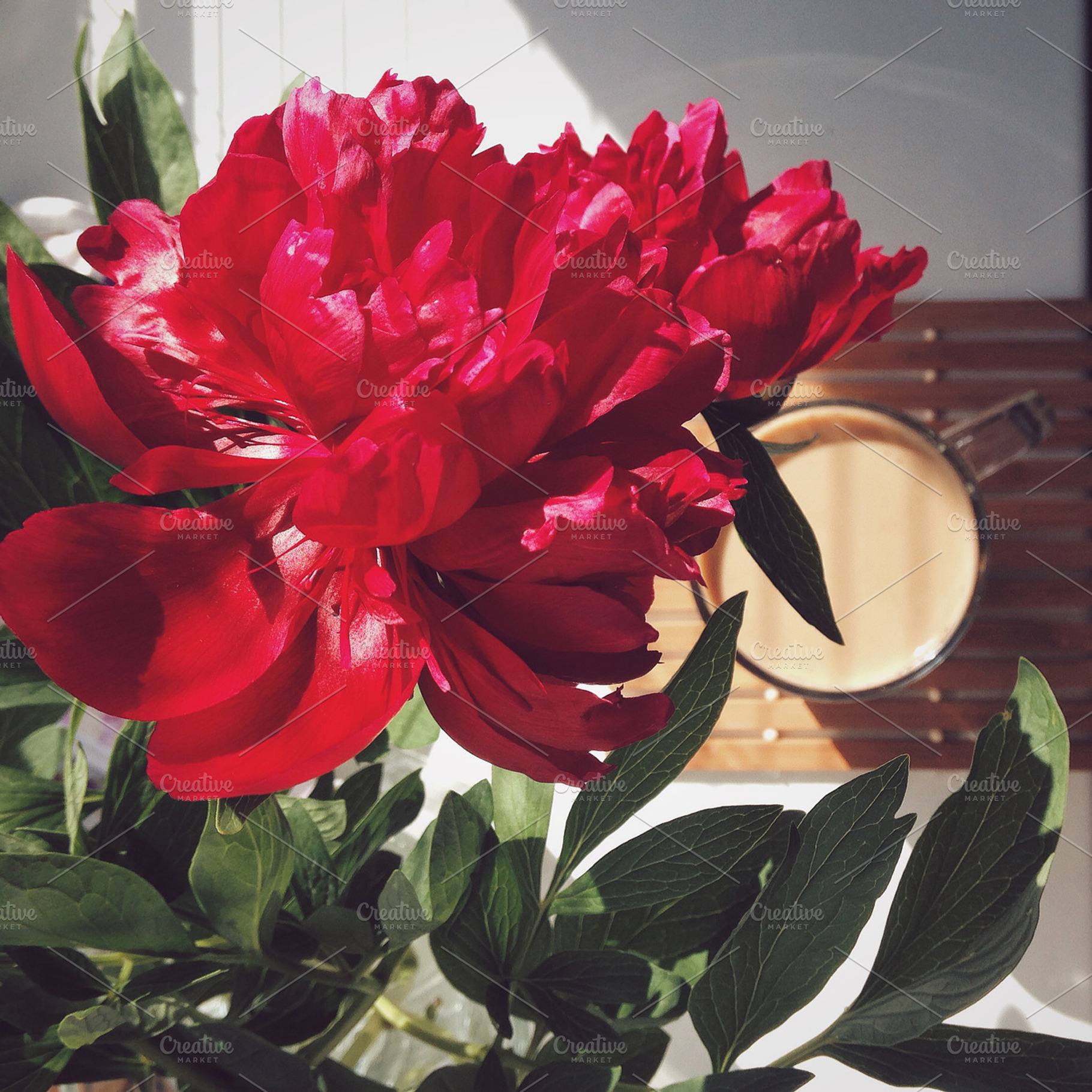 Hot coffee and flowers, a Food & Drink Photo by KULISTOV