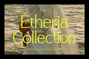 Thelion - Elegant Serif Font, a Serif Font by roomspace creative lab (Thumbnail 6 of 12)