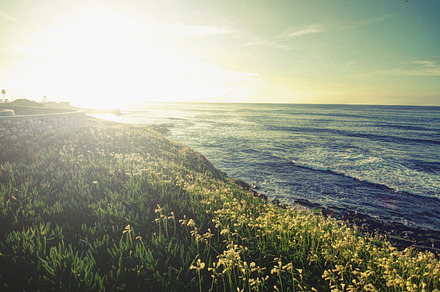 La jolla coast featuring coast, rocks, and sky preview 6