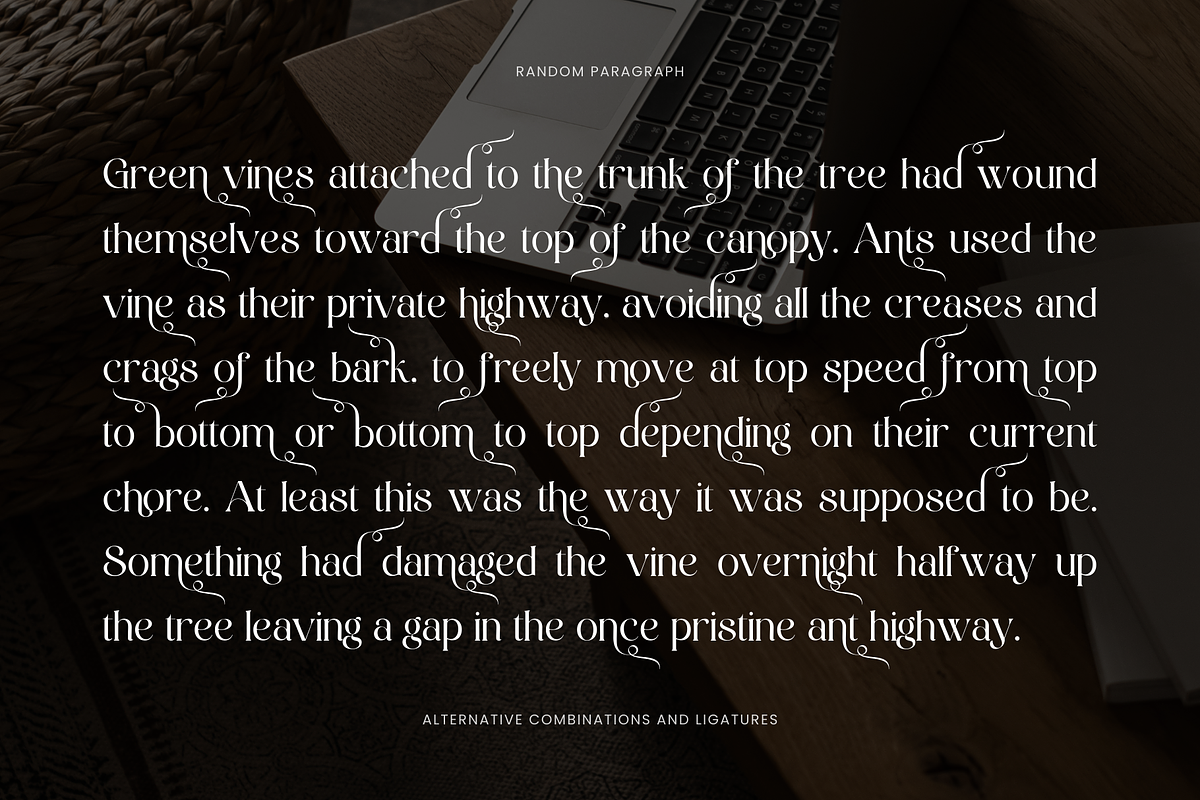 Klomisk - Serif Font, a Serif Font by Creavibes Design (Photo 9 of 15)