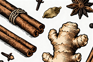 Vintage Spices Botanical, a Decorative Illustration by Virgo Studio
