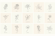 Birth-Flowers. Trendy Plants, Logos, a Seasonal Illustration by Designwork (Thumbnail 16 of 21)