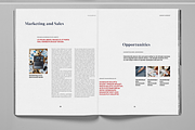 Bue and Red Business Brochure, a Brochure Template by Boris Cupac (Thumbnail 3 of 7)