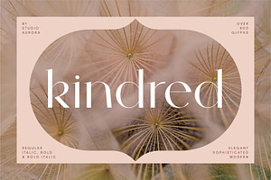 Kindred - Elegant and chic font