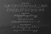 Blaisflur Radiante, a Script Font by Shopifont.co (Thumbnail 12 of 13)