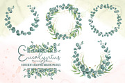 Watercolor Eucalyptus SET, a Decorative Illustration by TanataDesign (Thumbnail 9 of 16)