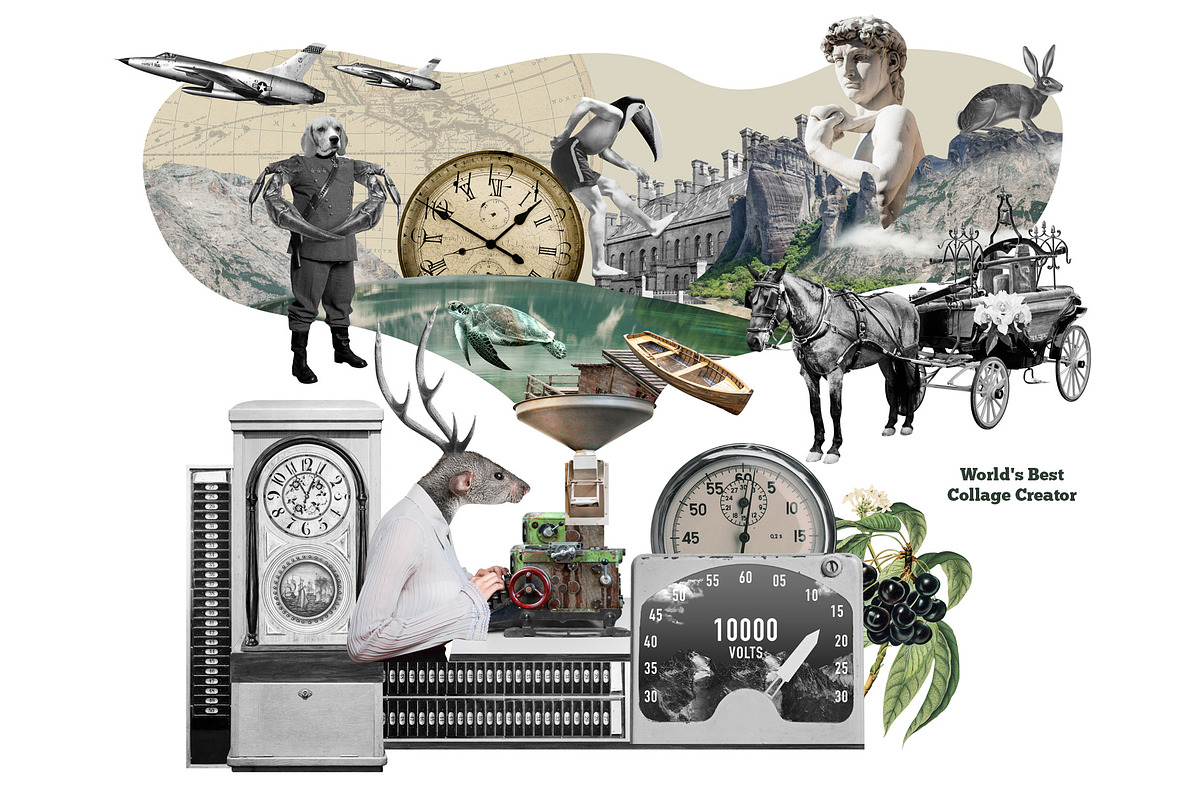 World's Best Collage Creator, an Animal Illustration by SNIPESCIENTIST (Photo 4 of 48)