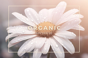 Organic Floral Flowers