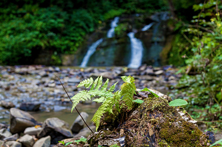 Forest waterfalls in the mountains, a Nature Photo by Photostock