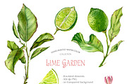 Lime Tree Watercolor Fruits Set, a Food Illustration by Akvarelldesign (Thumbnail 2 of 2)