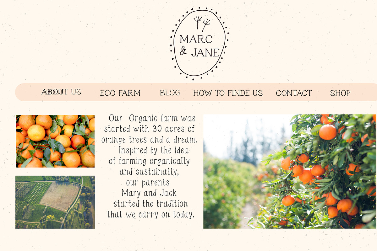 Farmstone Rustic serif font. Doodles, a Serif Font by LABFcreations (Photo 5 of 17)