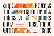 Nocthira Blackletter Font, a Blackletter Font by Heinzel Std (Thumbnail 3 of 10)