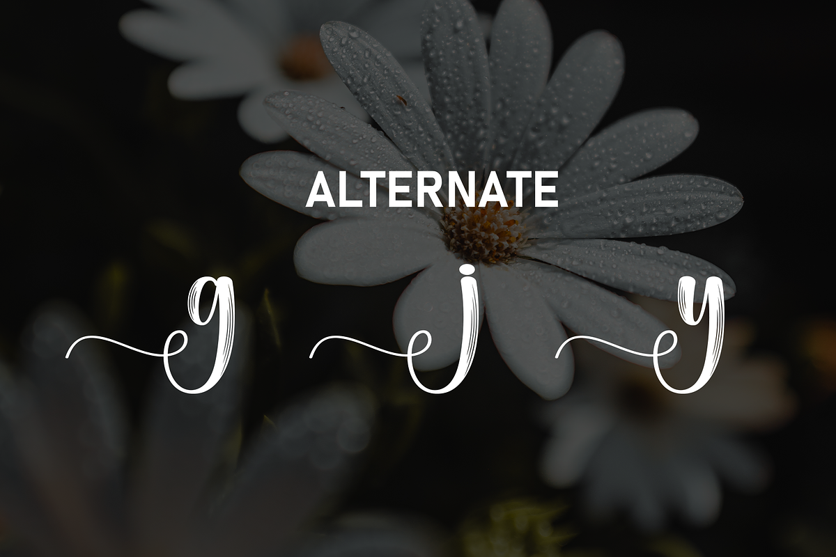 Daisy | Script Font, a Handwritten Font by Scratchones (Photo 8 of 9)