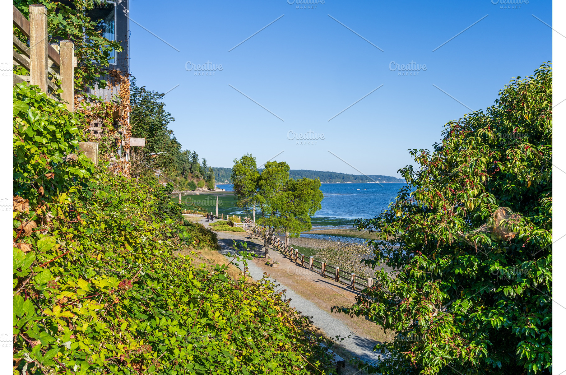 Hotel and wide beach at Langley on, a Nature Photo by Backyard Stock