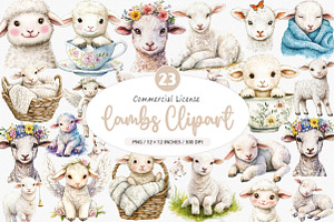 Watercolor Lambs Clipart PNG, an Illustration by SinaCreation
