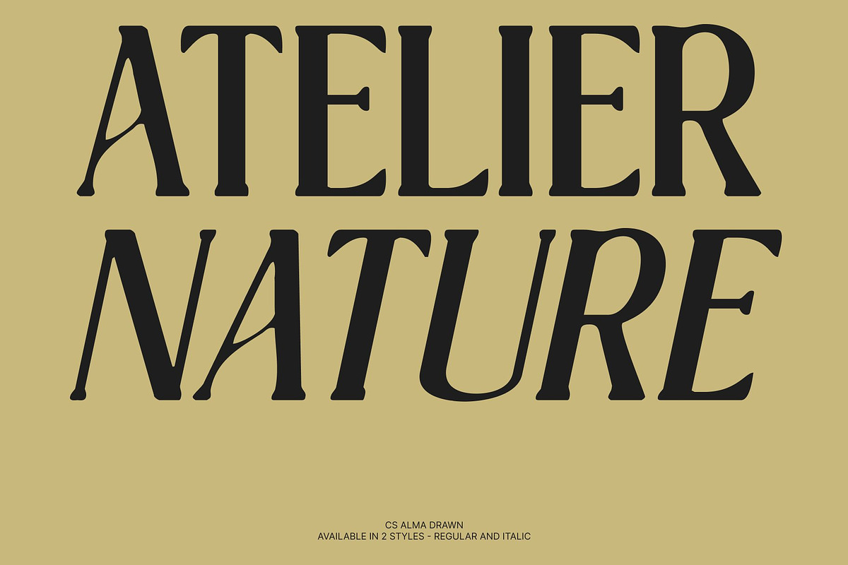 CS Alma Drawn, a Serif Font by Craft Supply Co. (Photo 2 of 8)