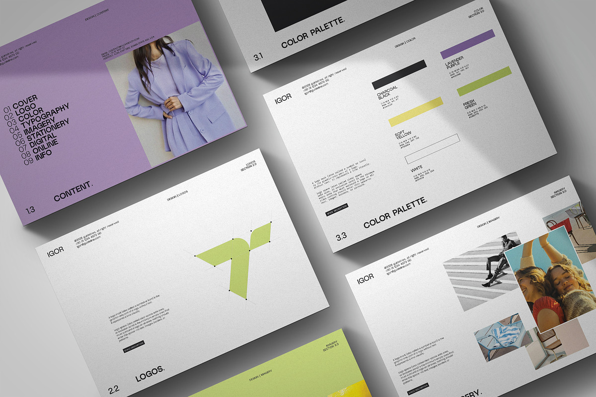 iGOR | Brand Guidelines, a Branding & Logo Template by creathrivestudio (Photo 8 of 11)