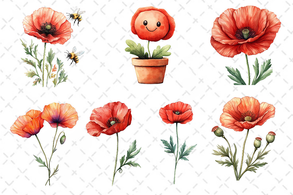 Poppy Flowers Clipart PNG, an Illustration by Dream Creation (Photo 4 of 6)