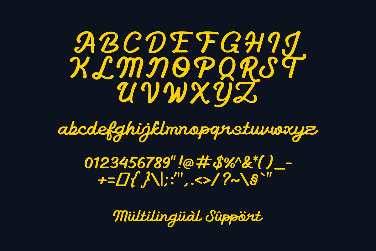 Groovy Shoeline - Monoline Script, a Script Font by fuzztype (Photo 5 of 16)