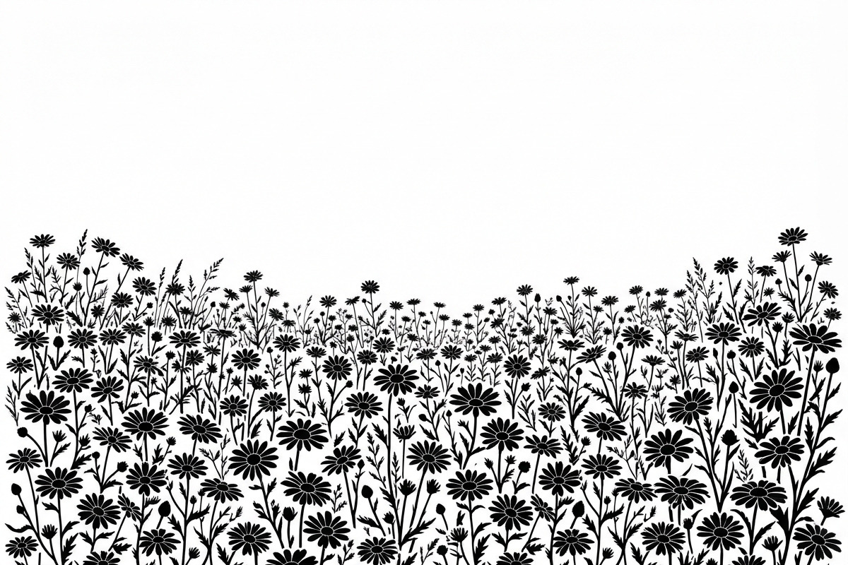 60 Daisy Flower Field Silhouette, a Seasonal Illustration by Amazin_art (Photo 6 of 28)