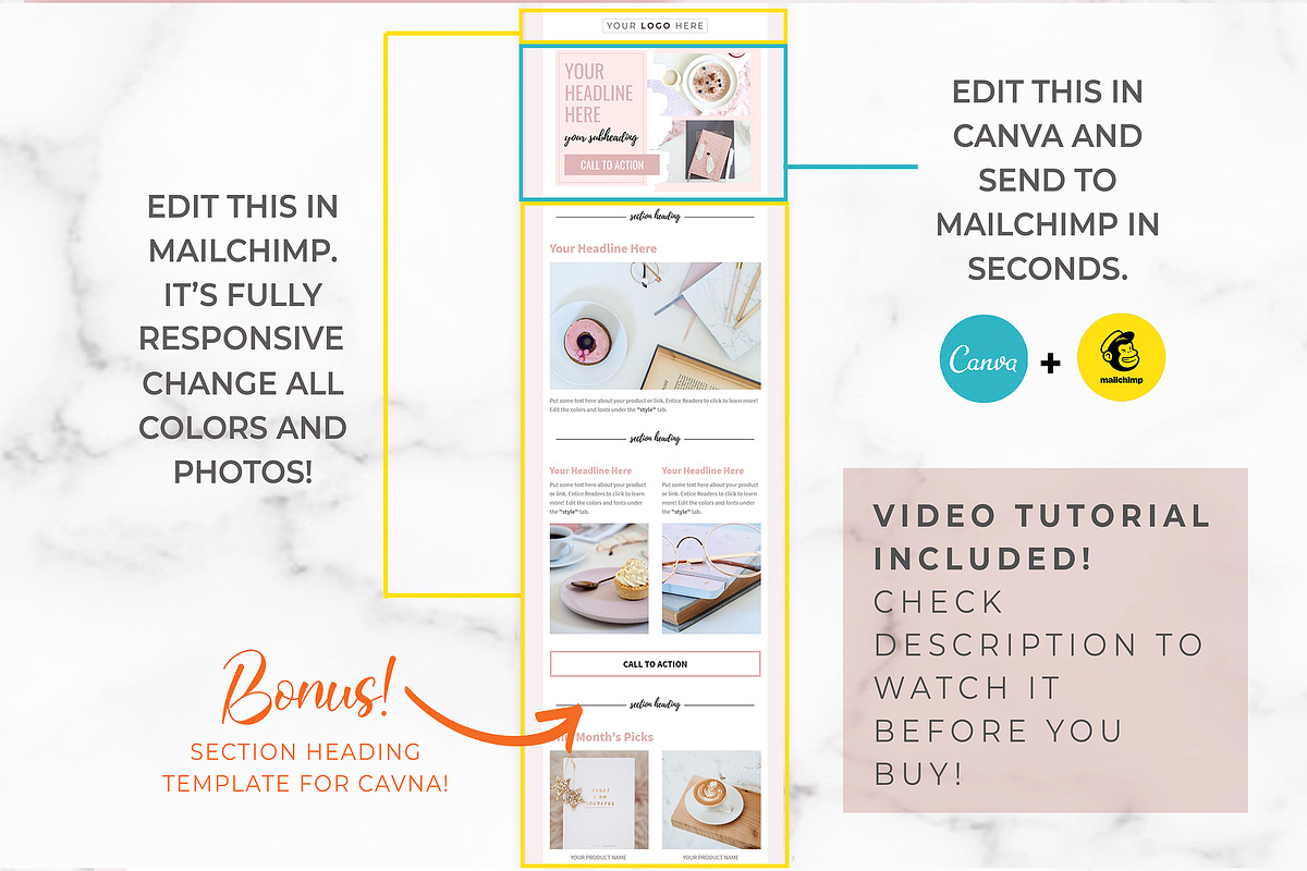 Canva & Mailchimp Template | Blush, an Email Template by Thirty One Palms Studio (Photo 2 of 7)