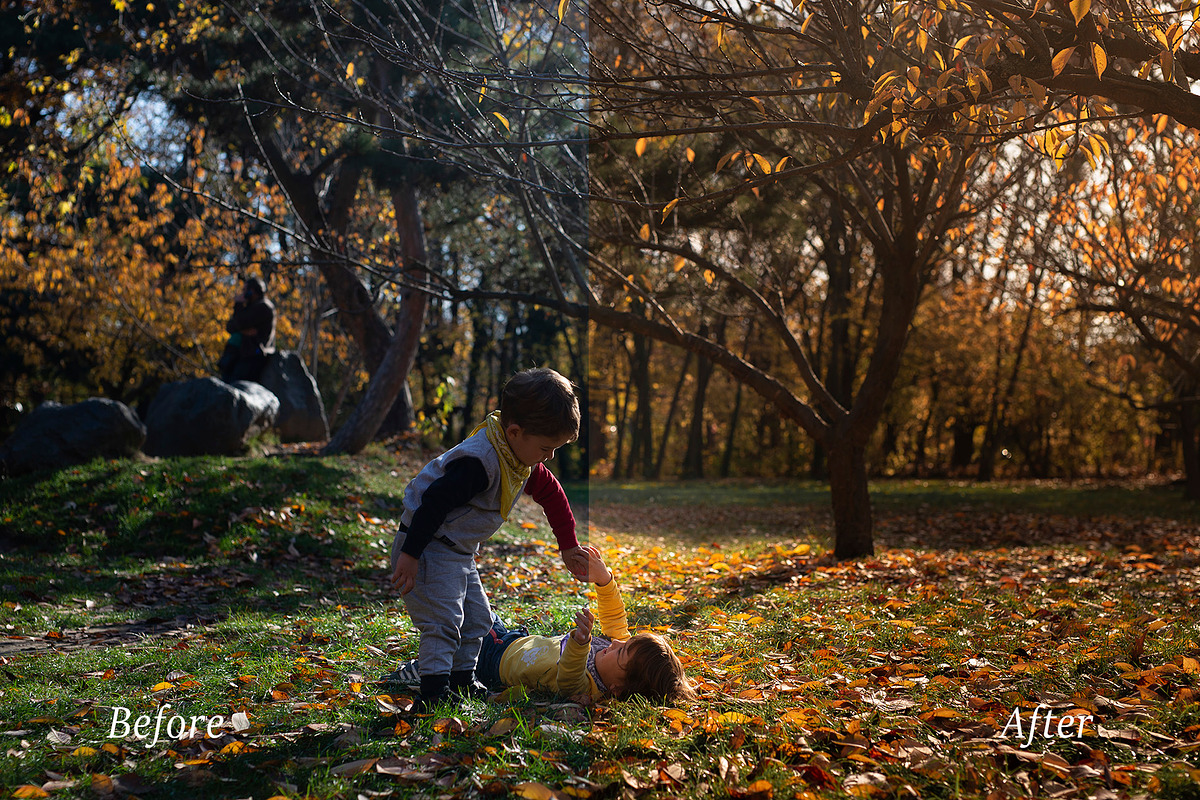Autumn Adobe Lightroom Presets, an Action Add-On by Goat presets (Photo 4 of 4)