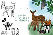 Forest animals vector and bitmap set, a Shape Add-On by Ducatum (Thumbnail 4 of 7)