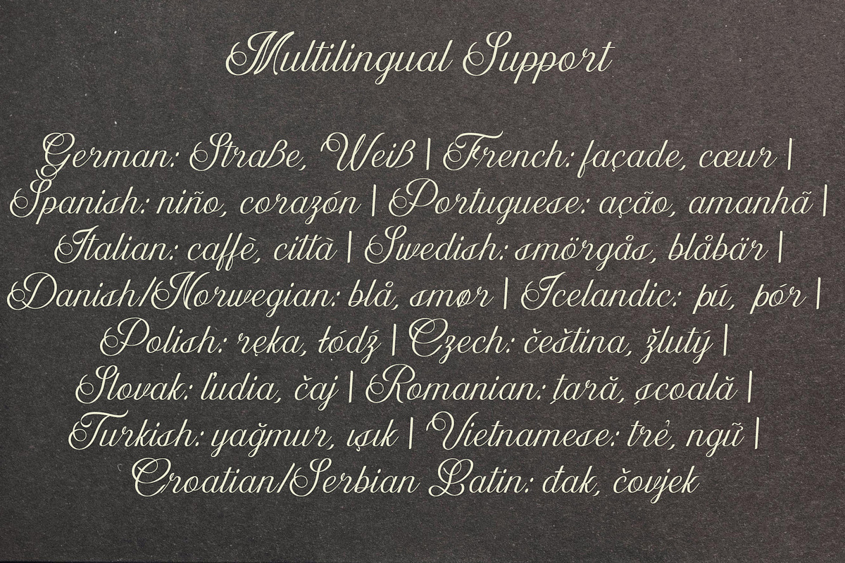 Dalvic – Calligraphy Font, a Script Font by NDNL Studio (Photo 7 of 11)