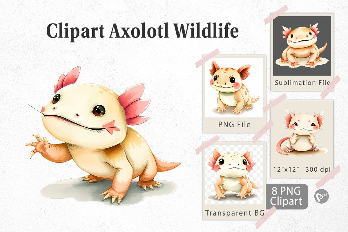 Watercolor Clipart Axolotl Wildlife, a Graphic by Artnoy (Photo 1 of 5)