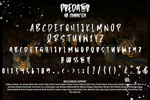 Predator - Brush Font