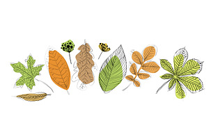 set of autumn leaves. hand drawn, an Object Illustration by Nenahliadava Design